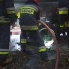 Fotka nr 1 z 4