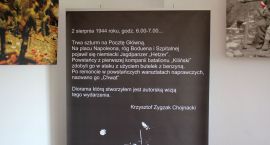 zdjęcie nr 15