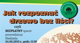 plakatosp13_2drzewa_nawww ikona
