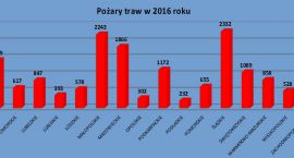 pozary