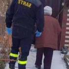 Fotka nr 1 z 6