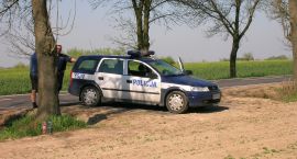 zdjęcie nr 14