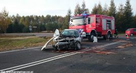 Fotka nr 4 z 11