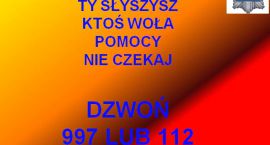 Policja1