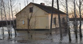 zdjęcie nr 36