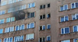 zdjęcie nr 22