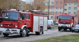 Fotka nr 2 z 9