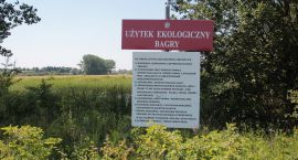 zdjęcie nr 20