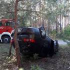 Fotka nr 2 z 4