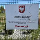 Fotka nr 5 z 11