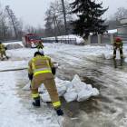 Fotka nr 2 z 17