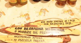 zdjęcie nr 21