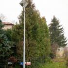 Fotka nr 4 z 11