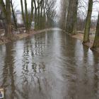 zdjęcie nr 45