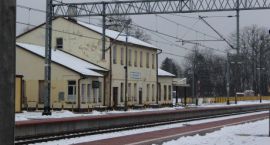 zdjęcie nr 10