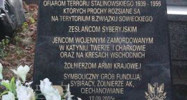 zdjęcie nr 87