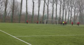 zdjęcie nr 19