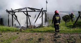 Fotka nr 3 z 10