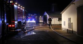 zdjęcie nr 14