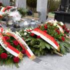 zdjęcie nr 24