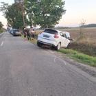 Fotka nr 2 z 4