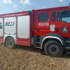 Fotka nr 5 z 8