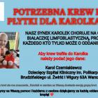 Fotka nr 0 z 1