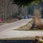 zdjęcie nr 16