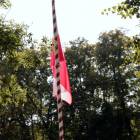 zdjęcie nr 17