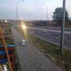 Fotka nr 5 z 6