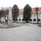 zdjęcie nr 8