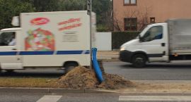 zdjęcie nr 7