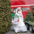 zdjęcie nr 16