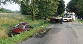 zdjęcie nr 7
