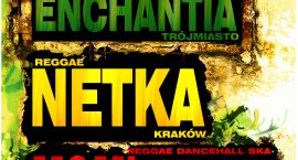 netka
