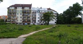 zdjęcie nr 9