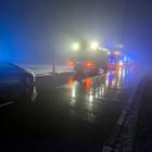 Fotka nr 2 z 5
