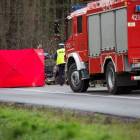 Fotka nr 1 z 2