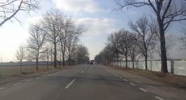 IMG_20120307_142910