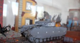 Fotka nr 4 z 15