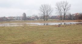 zdjęcie nr 43