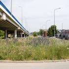 zdjęcie nr 10