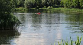 zdjęcie nr 51