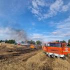 Fotka nr 2 z 16