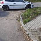 Fotka nr 5 z 6