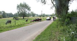 NIETRZEŹWY KIEROWCA POTRĄCIŁ TRZY DZIEWCZYNKI.