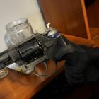Fotka nr 5 z 15