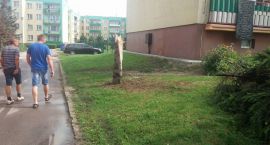 zdjęcie nr 14