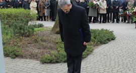 zdjęcie nr 24