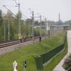Fotka nr 2 z 12